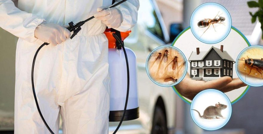 Akşehir Böcek İlaçlama