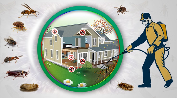 Akşehir Böcek İlaçlama